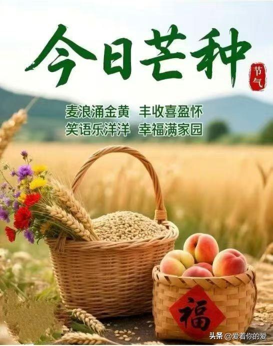 ~ 芒种~
所有播种都能丰收
所有付出都能收获🎁 
 最好的生活是☀ 忙而不茫