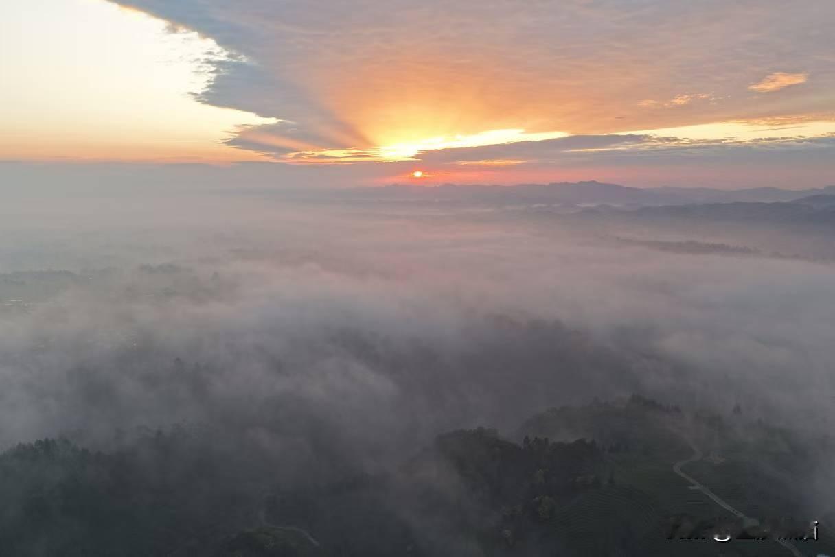 心诚则灵，心随所愿，雨后放晴。成都市摄影艺术家协会名山采风。
图文：曹铁
分享城