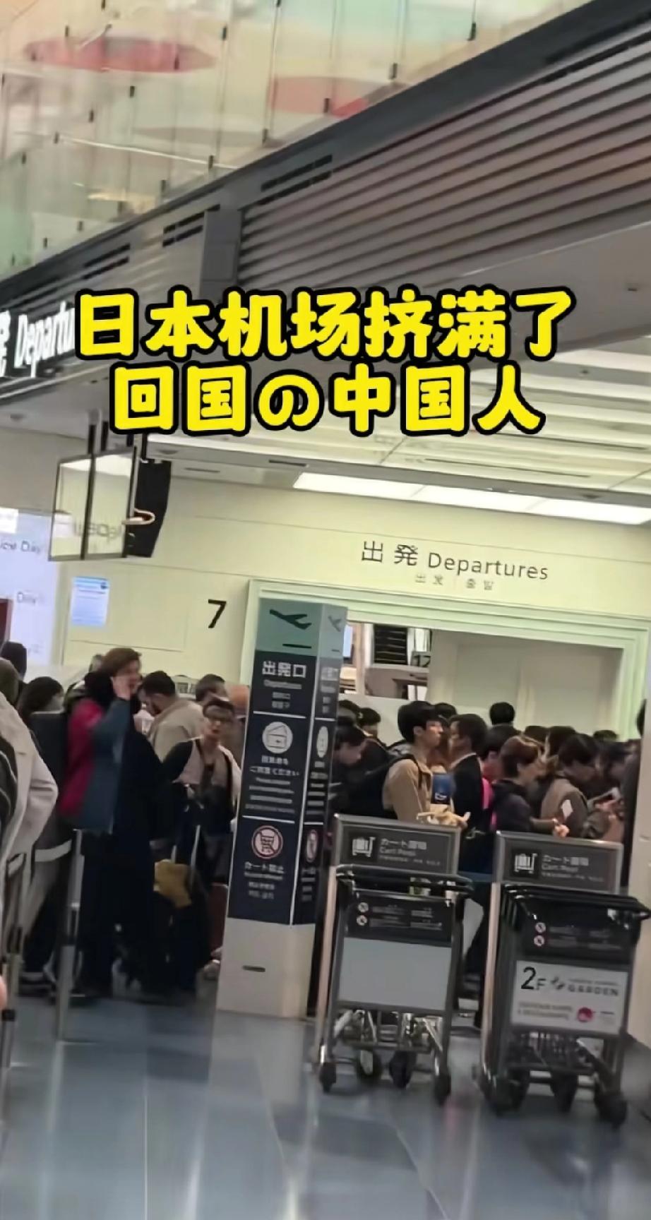 12条中日航线的停飞了，该回的回了，不听劝的就留在那边吧，对于那些不听劝阻的人，