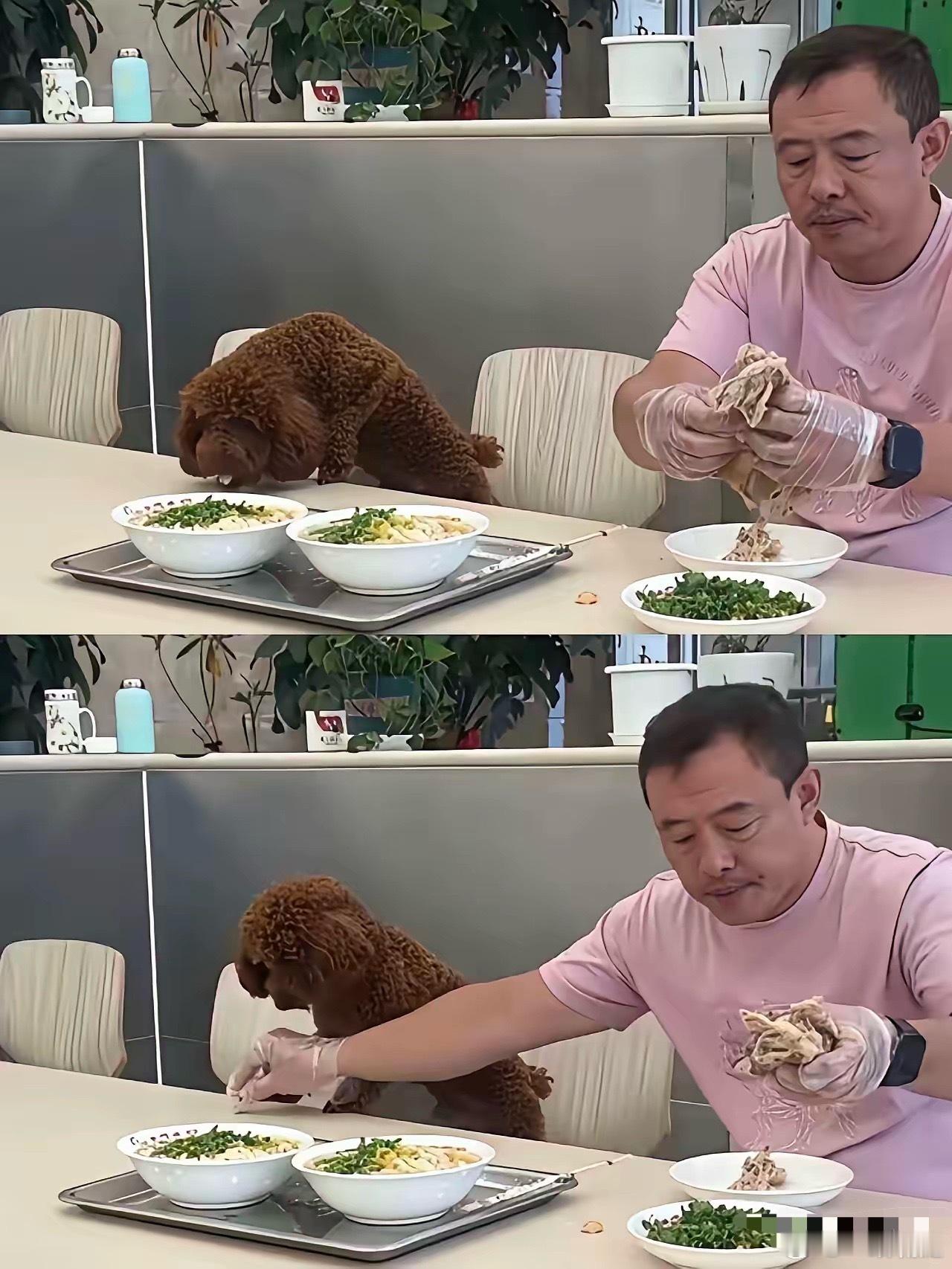 一只狗，如何咬死了一家经营20多年的老店？沈阳老四季，沈辽东路店。二十多年老店，