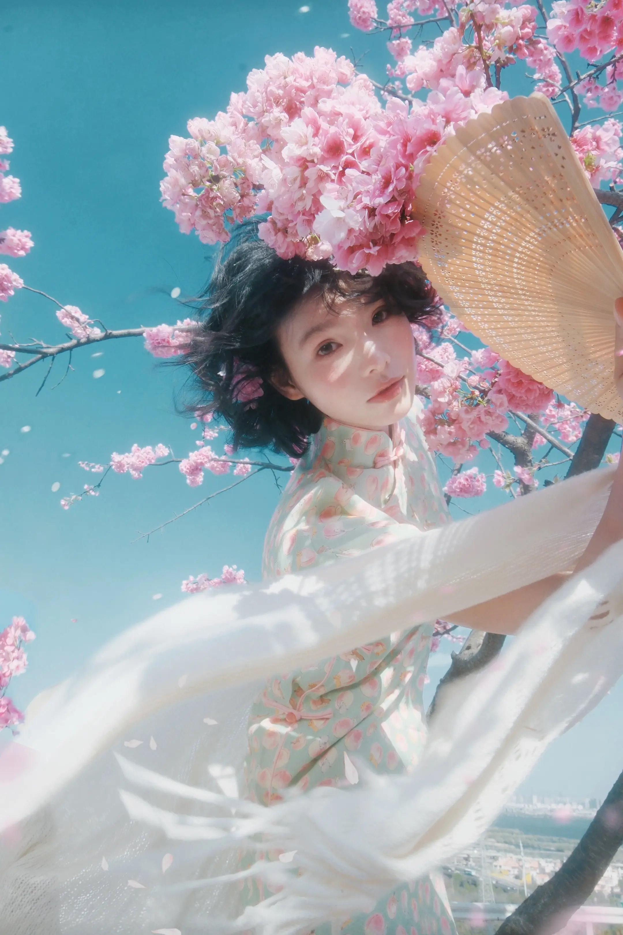 𝘚𝘢𝘬𝘶𝘳𝘢 𖧷‧₊˚。春来无事 只为花忙