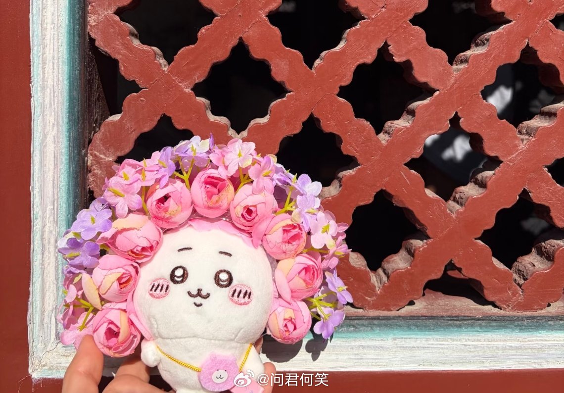 吉伊卡哇灵感共创夏日企画 谁懂啊！带着吉伊卡哇打卡泉州蟳埔簪花，粉玫瑰搭配淡紫绣