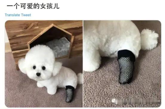 在吗？看看黑丝 