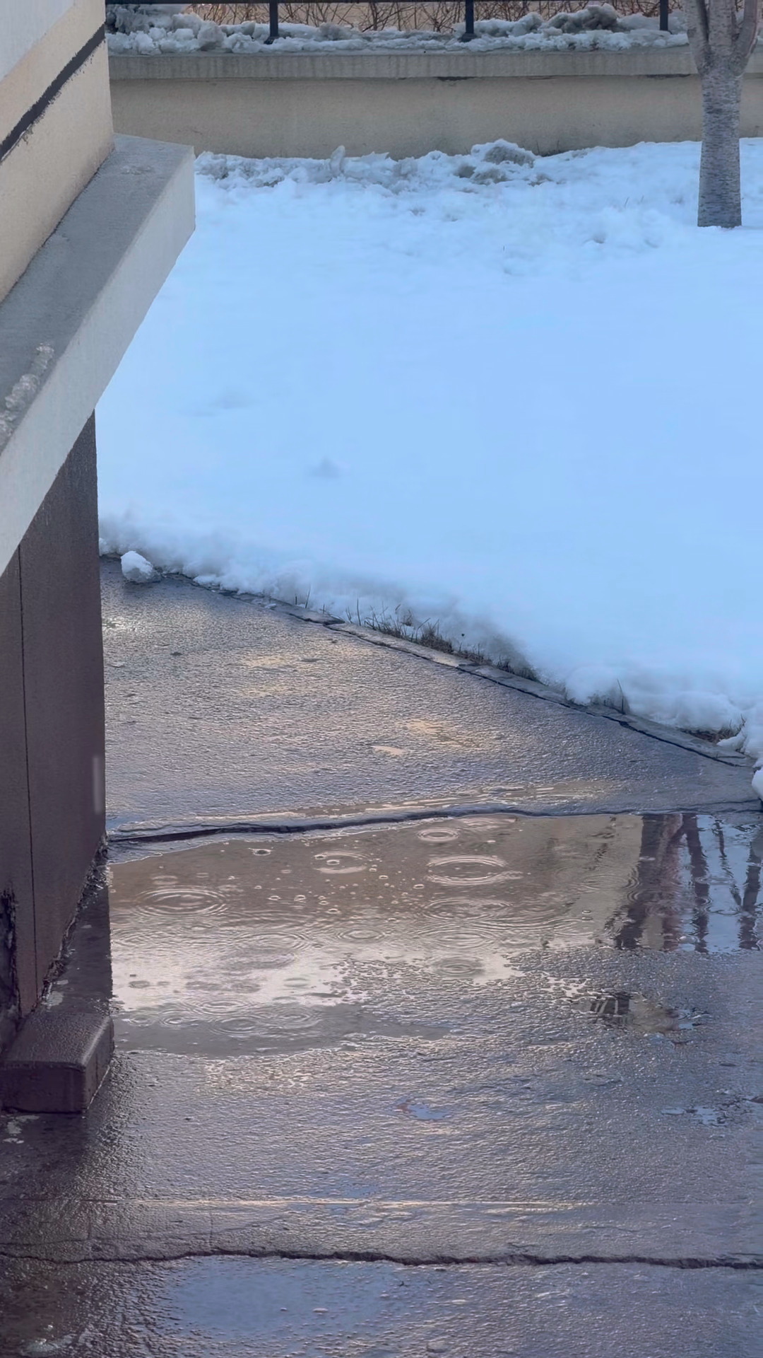 昨天下完雪，今天变这样了