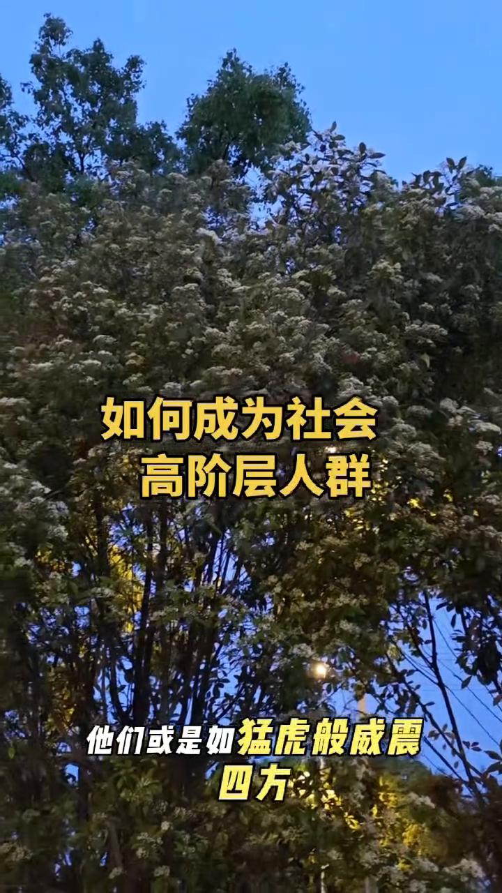 如何成为社会高阶层人群？
能混出来的没有一个是省油的灯。自古以来能成就大业者哪一