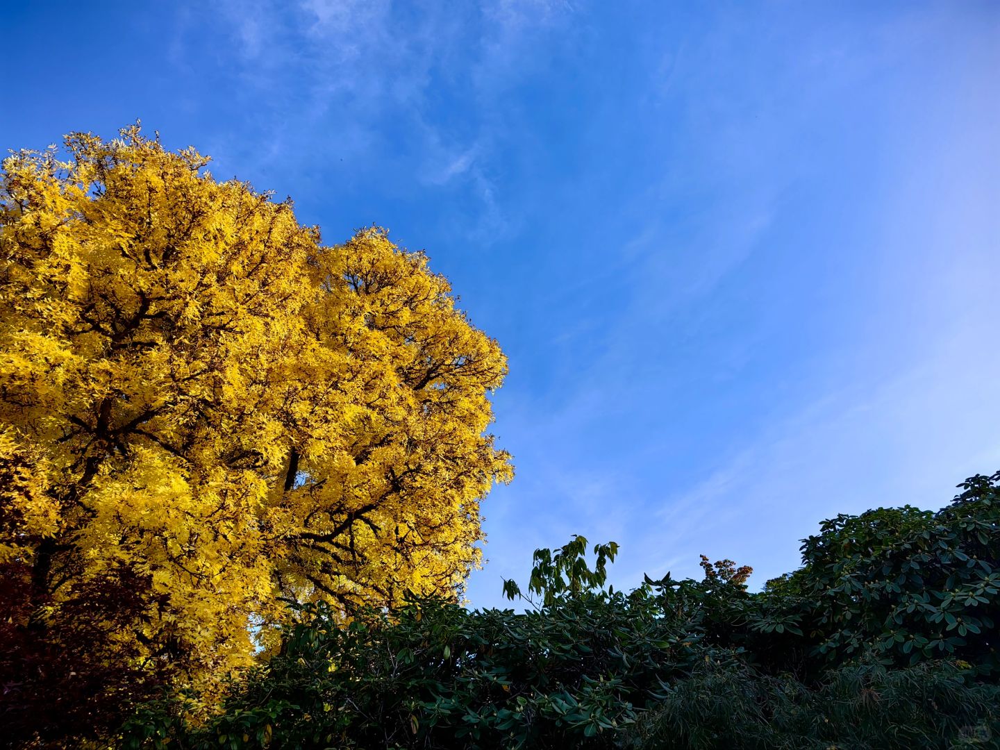 亦庄马驹桥房价