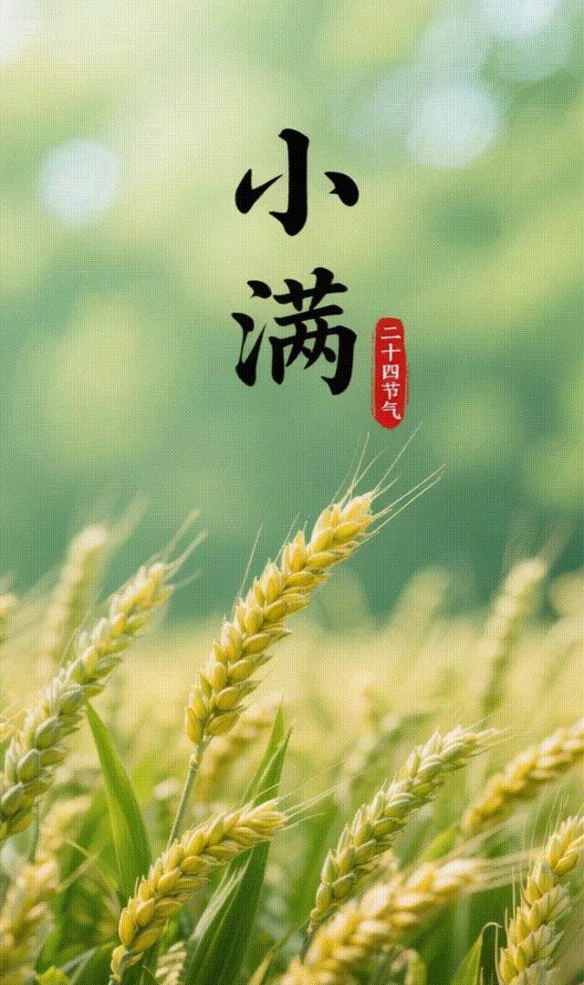 我认为小满确实是夏季最美的节气，也是夏季的第二个节气‌。每年公历 5 月 20 