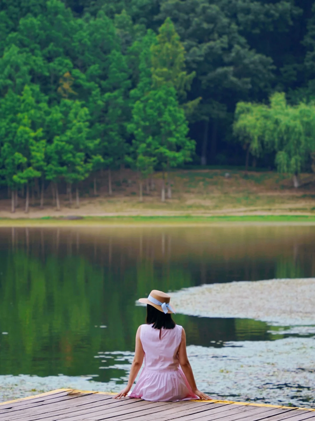 比起阿勒泰🌳我更爱南京“喀纳斯”琵琶湖