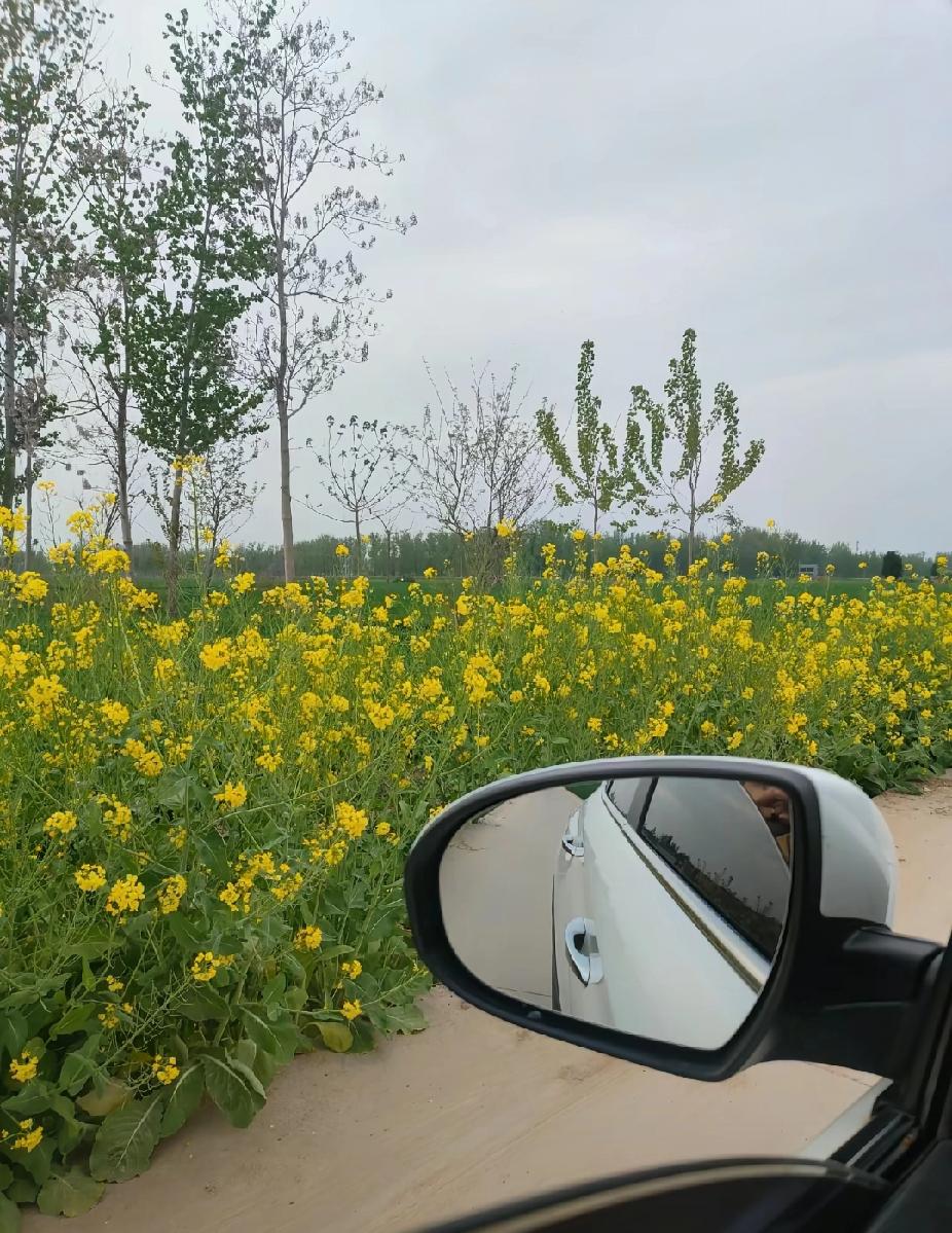 有多少男人
年少遇见白月光
惊艳了整个青春
中年遇上爱而不得
熬尽了所有念想
一