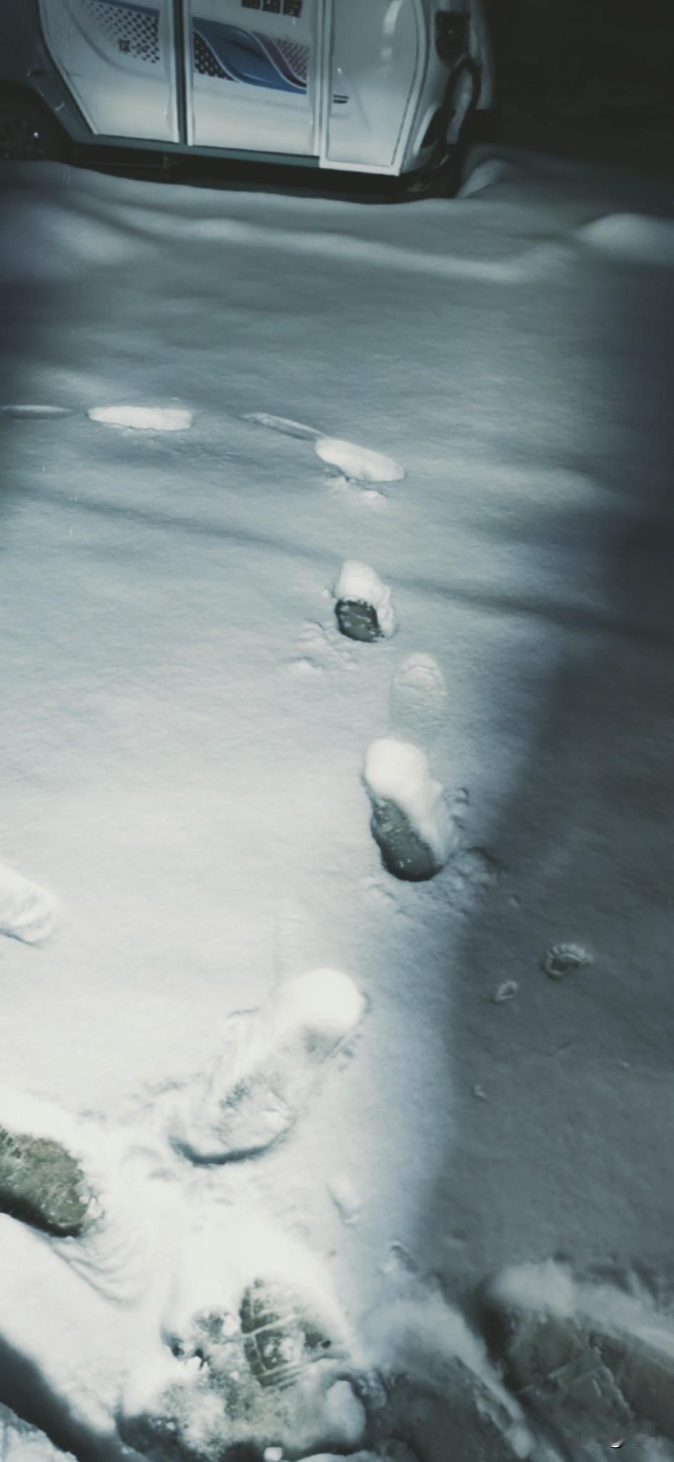 昨天，鲁西南下雪了，白天下得不大，而到了傍晚时分就下得有点大了，到了夜里雪停了，