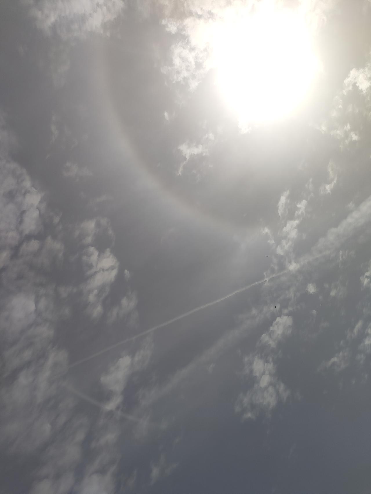 抬头撞见了日晕，像天空悄悄戴上了温柔的光环，连风都慢了下来，把此刻的天光和云影，