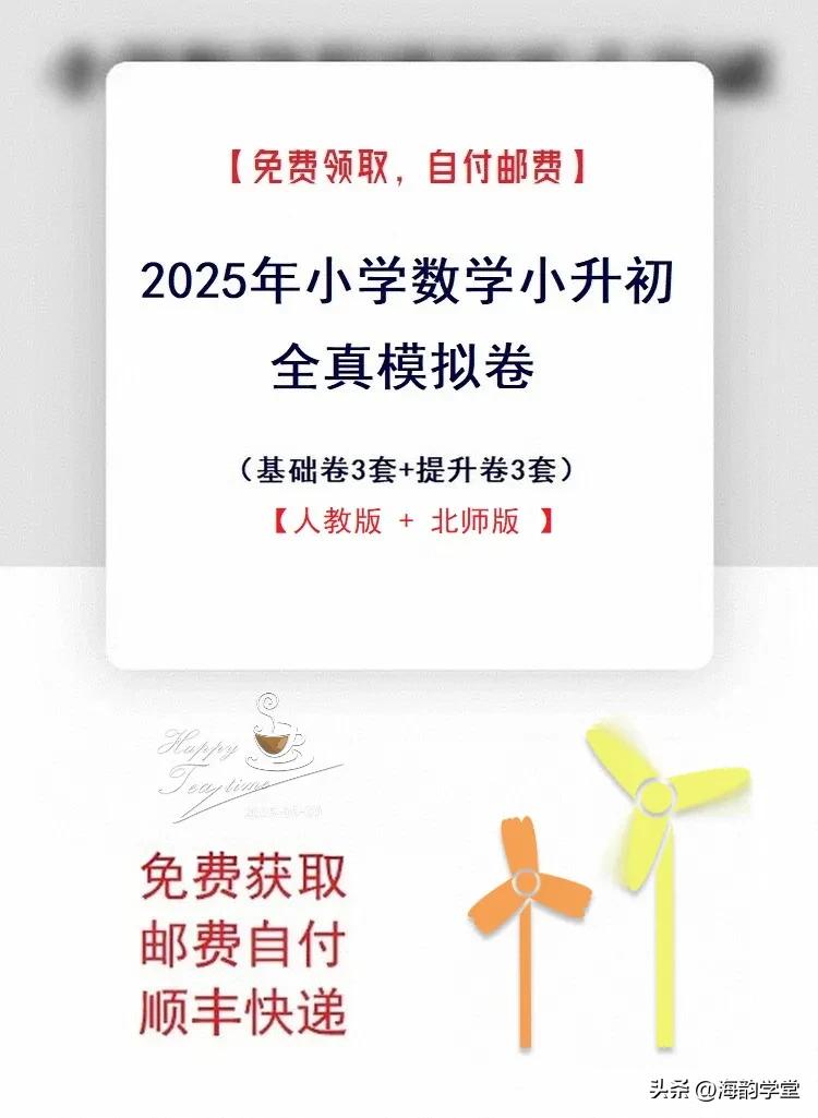 2025年小学数学小升初全真模拟卷（人教版 & 北师版）

资料内容：基础卷3套