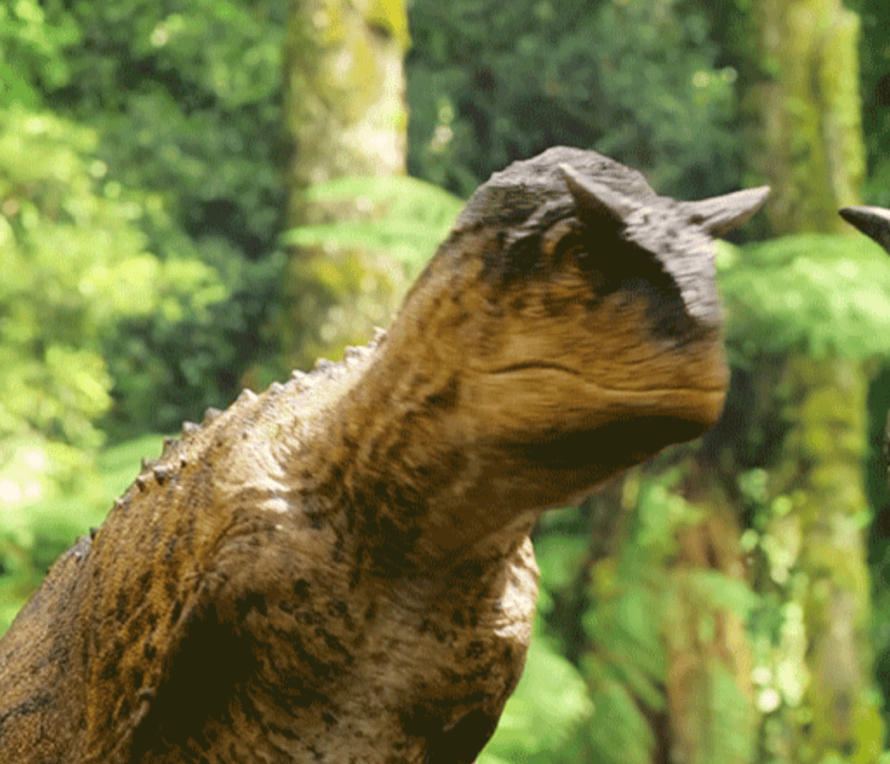 业内称平台不再相信演员能单扛了 所以最近就发生了邀请一堆特邀，然后让他们拍一天就