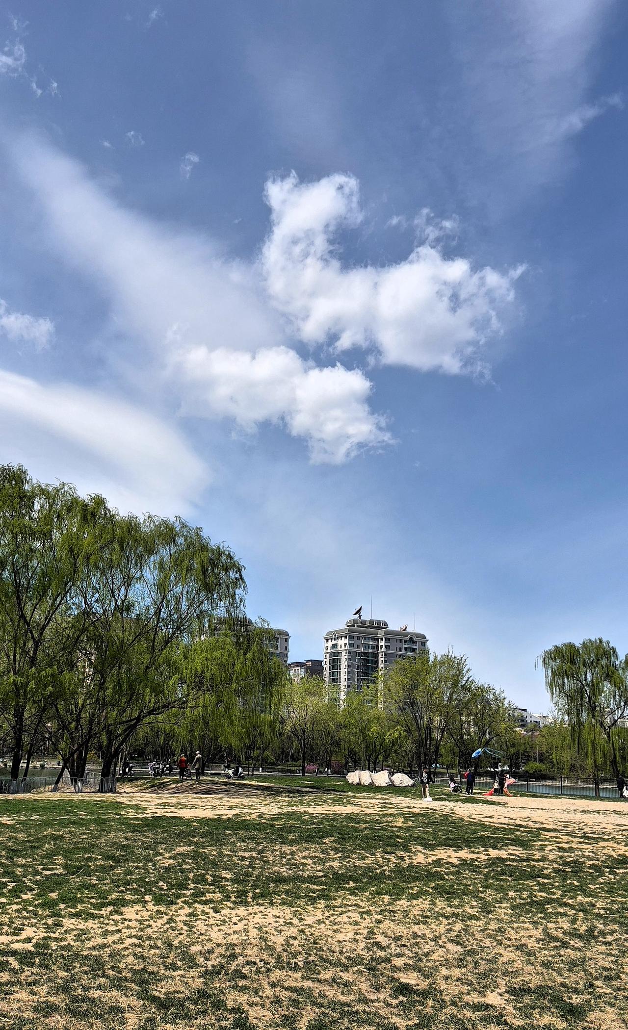 北京朝阳公园 · 春日盛景
春风拂过，朝阳公园便从冬日的沉睡中苏醒，朝阳公园是四