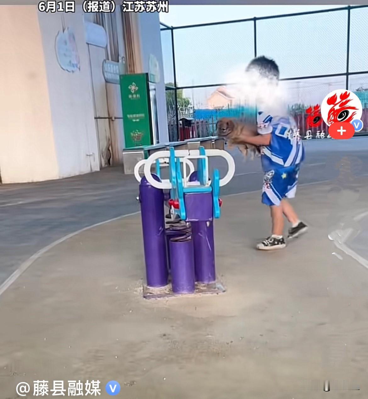 近日，江苏苏州一名六七岁的小男孩，把无辜的小狗狗强行抱上跷跷板，
小狗明显害怕极