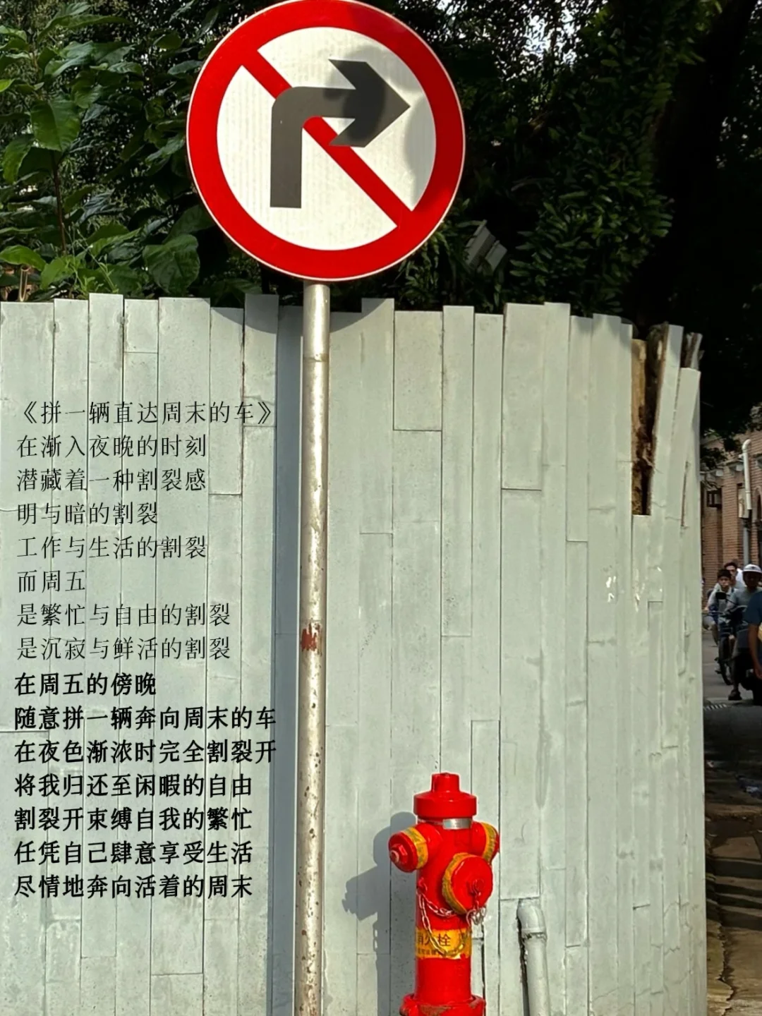 剥离嘈杂、奔向寂静，我活在自由的周末。