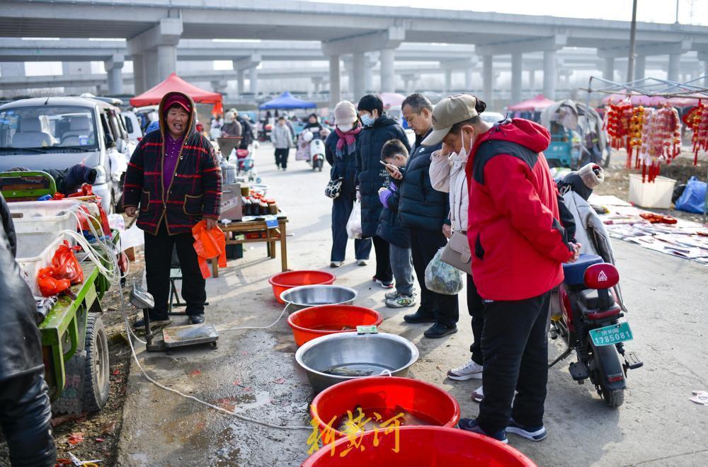 2月3日，位于济南市槐荫区党杨路西侧的王府庄大集迎来了一年中最热闹的时光。长约5