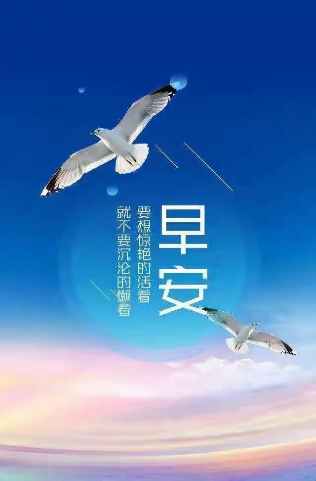 下联：
鹰翔蓝天叹天高

夏日生活打卡季