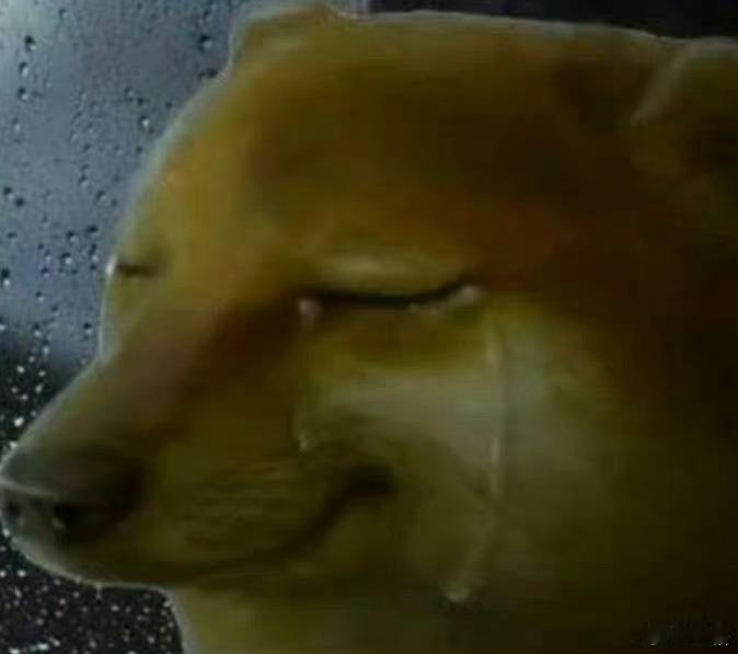 刚抢了易烊千玺的票，转瞬即逝原来这种感觉，机器人来了它也点不上啊[捂嘴哭]问了下