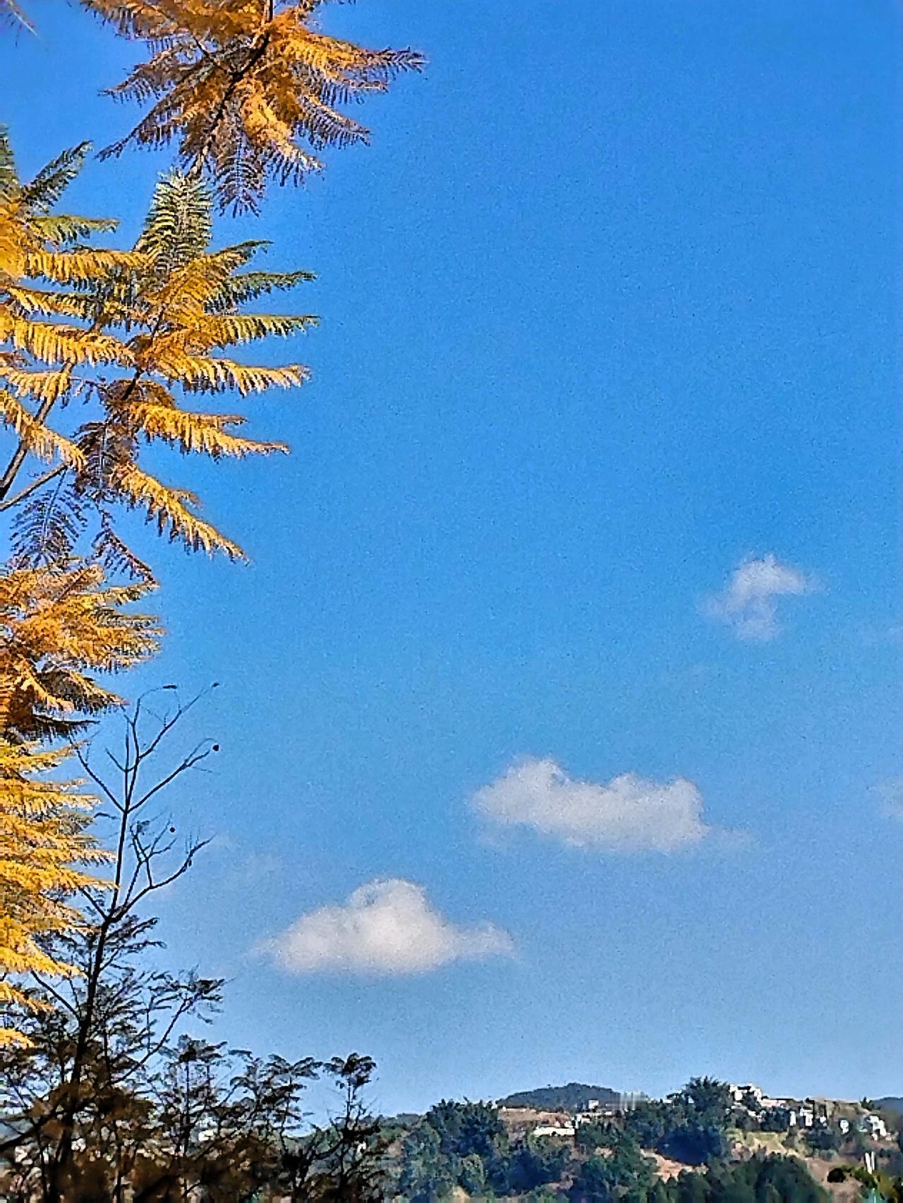 蓝天白云下的静谧村庄，感受大自然的宁静与美好。走进这村庄，脚下的泥土路散发着淡淡