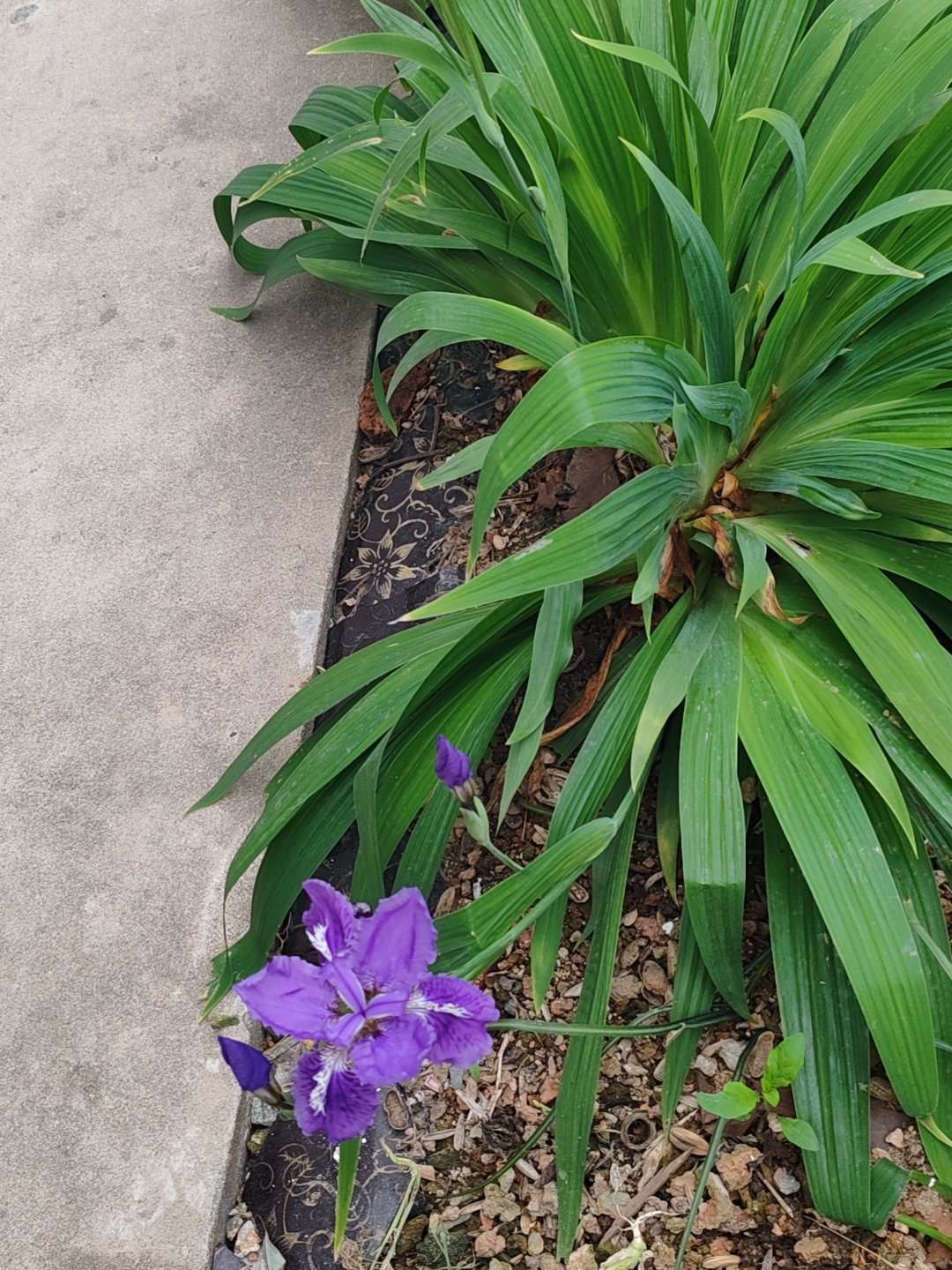 何润东最近确实迎来了事业的“第二春”，商务资源呈井喷式爆发。这被网友戏称为“人在