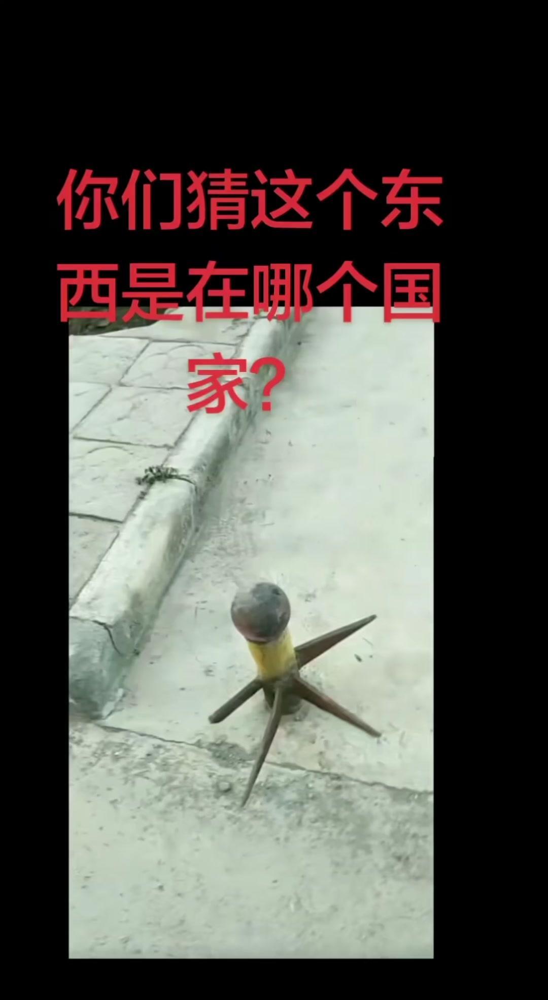 路边偶遇“神秘生物”？路边偶遇的这个小家伙真的太神奇了！它的外形有点像龙又像蜥蜴