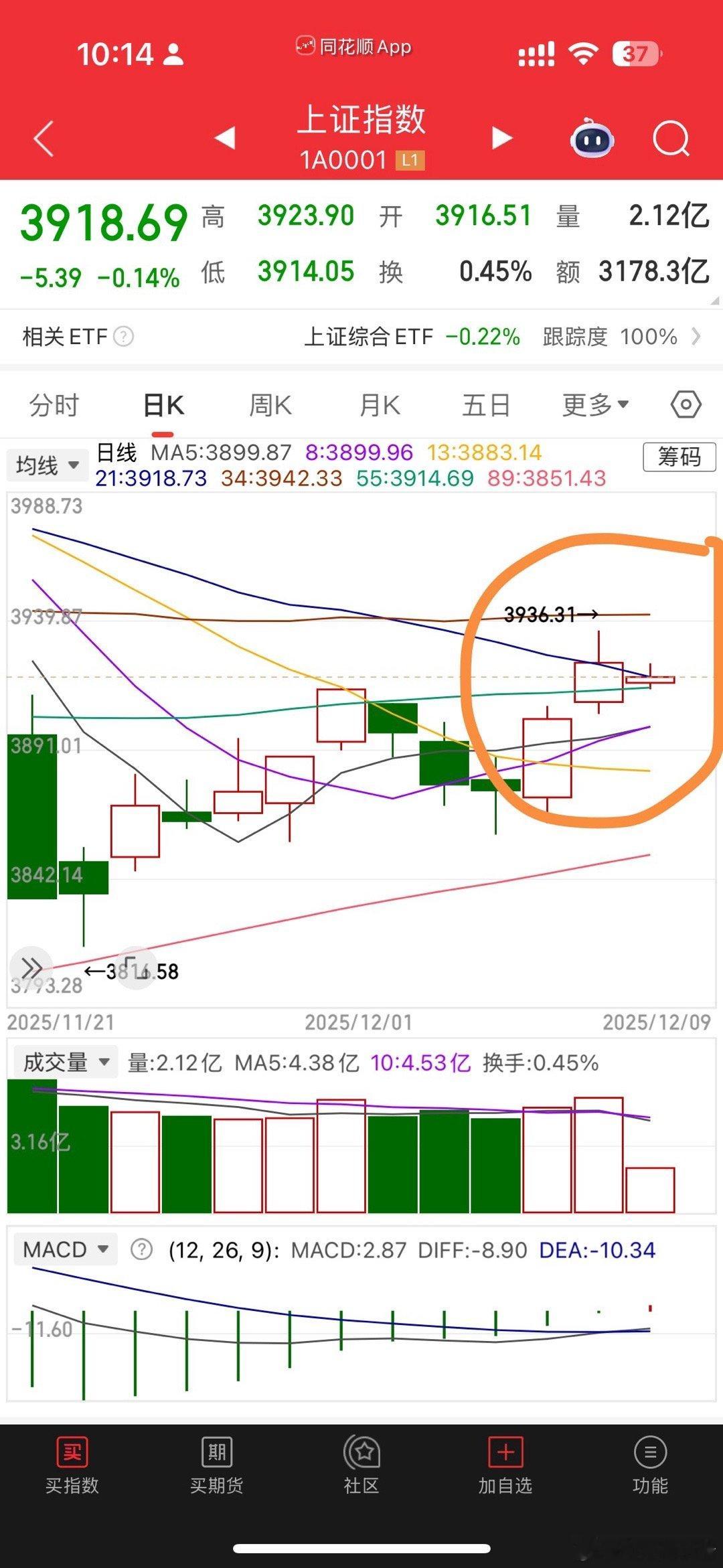 夹缝中生存，走成这个样子也是真苟美贵金属概念大跌