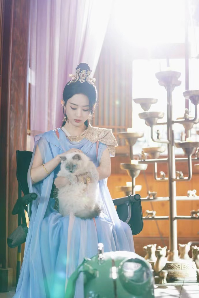 赵丽颖沈璃周一营业照赵丽颖沈璃抱猫营业 赵丽颖沈璃周一营业照，沈璃抱猫营业，王爷