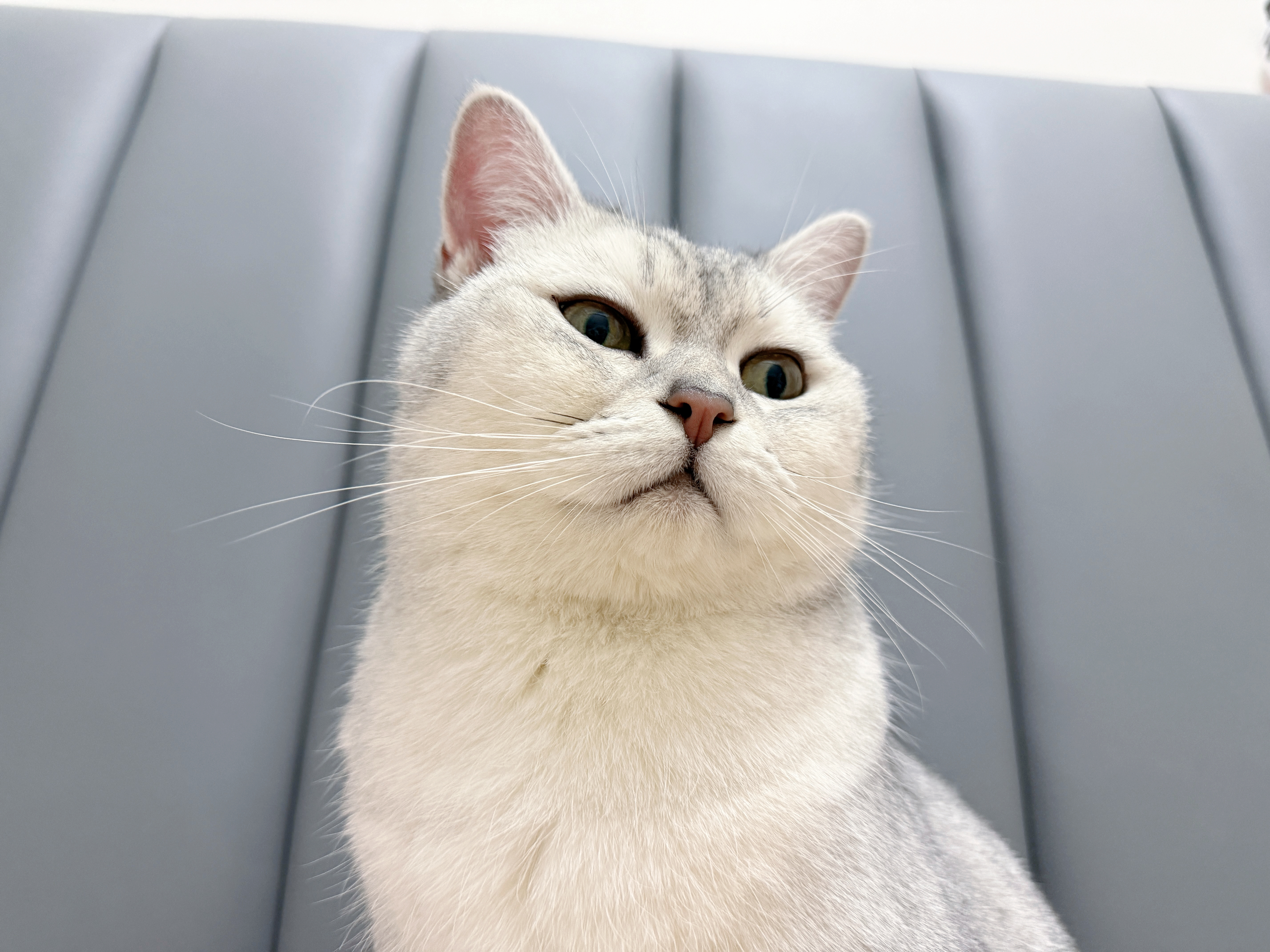 这个角度把他拍好丑 hhhhh胡子拉碴的 武汉