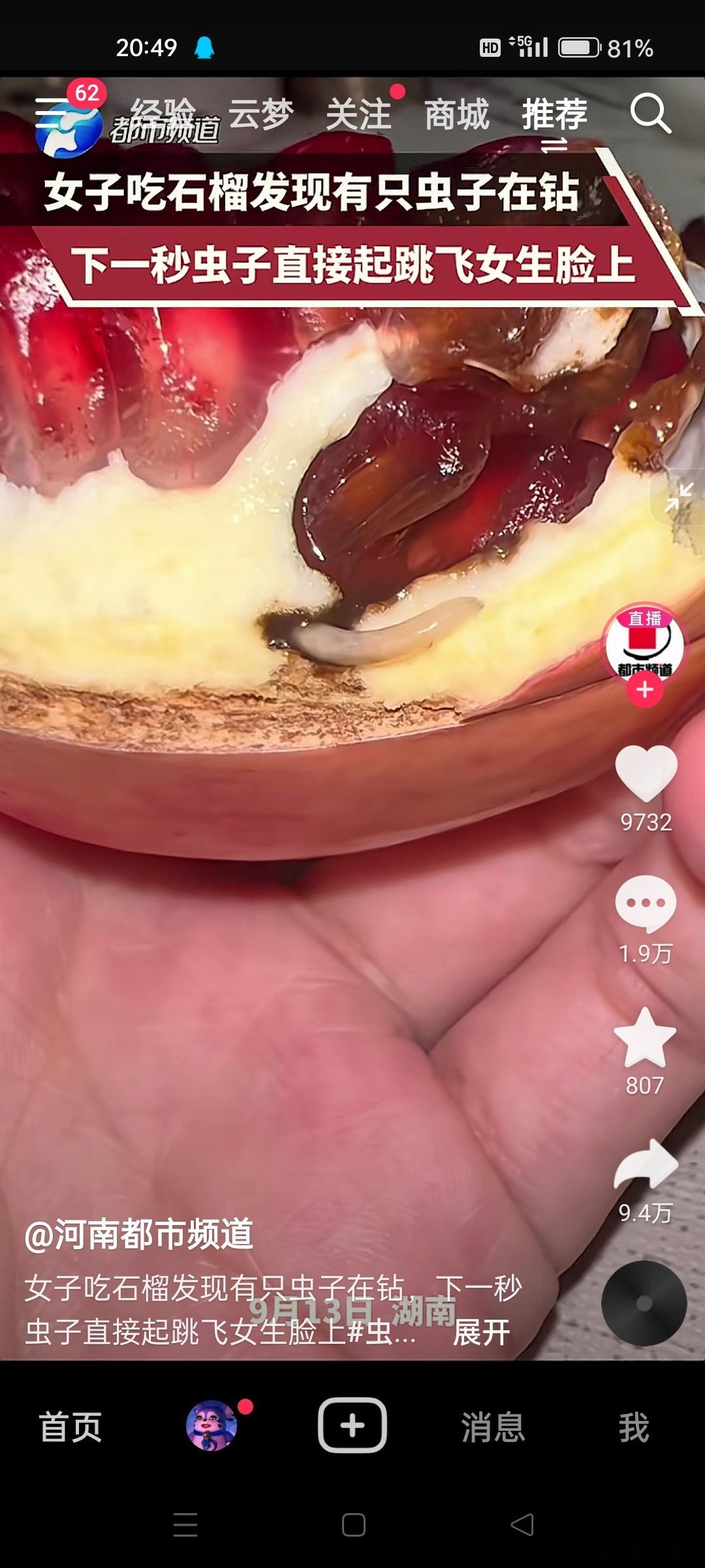？我昨天晚上刚想吃石榴 我妈今天晚上下班刚给我带回来的石榴。。。[裂开][裂开]