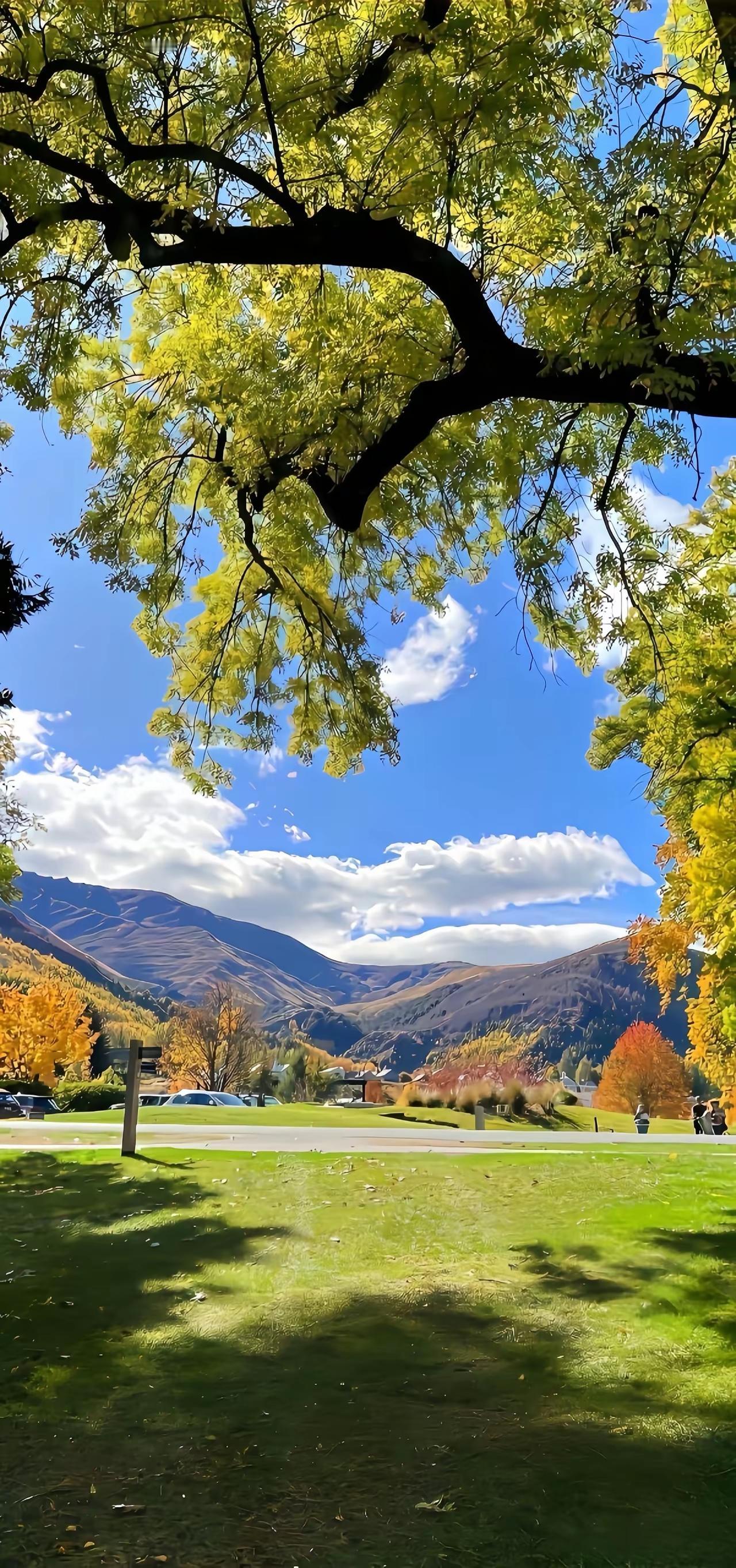 陈真走了，我想起那年胡同口的黑白电视
 
那天刷手机看到陈真去世的消息，我手里的