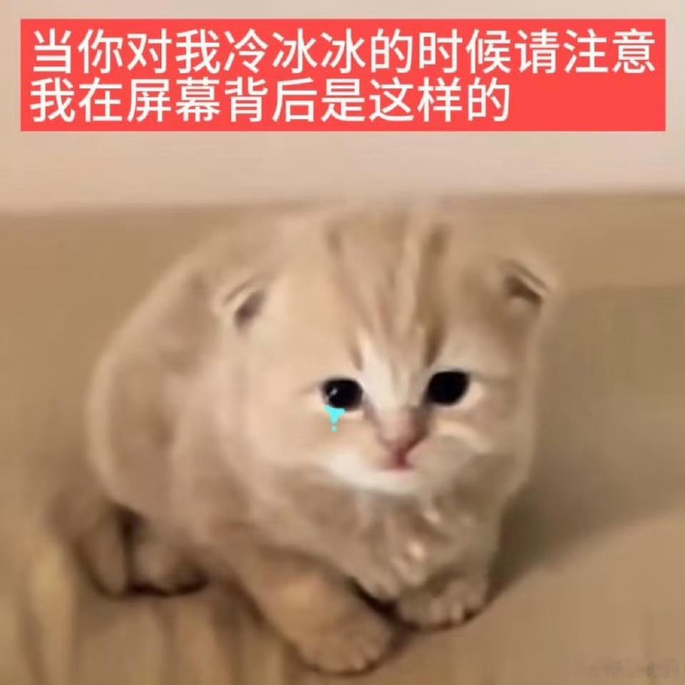 我错了我不应该昨天拼完拼豆不回你消息的 