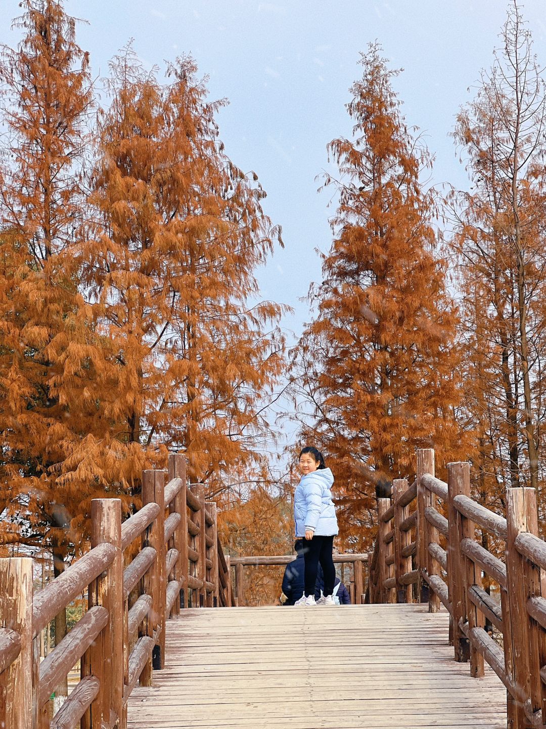 上海周边游｜乌镇边的宝藏村落乌村全攻略📝