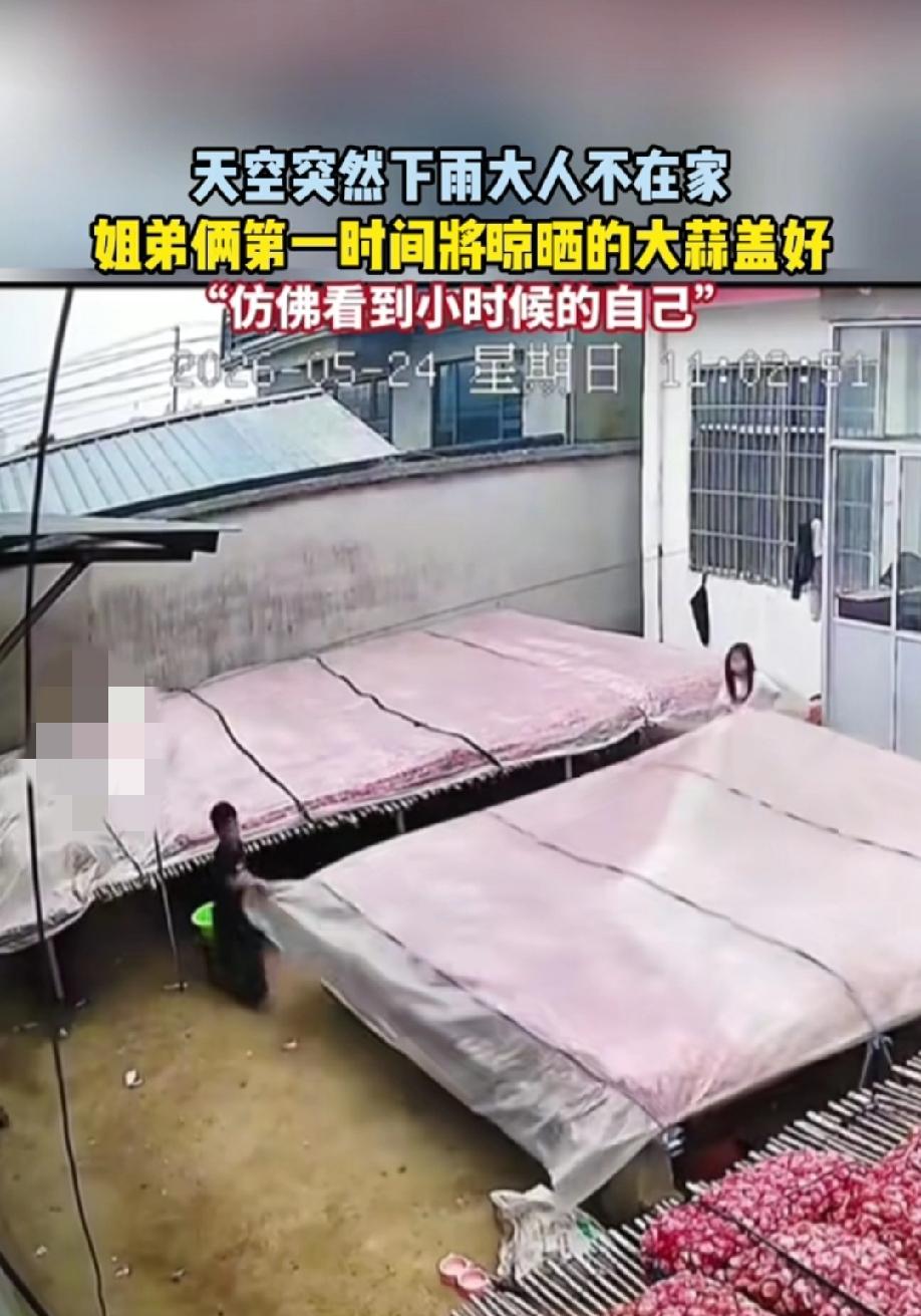 暖哭了！5月25日，牡丹融媒报道，天空突然下起雨来，大人不在家，一对姐弟俩看到后