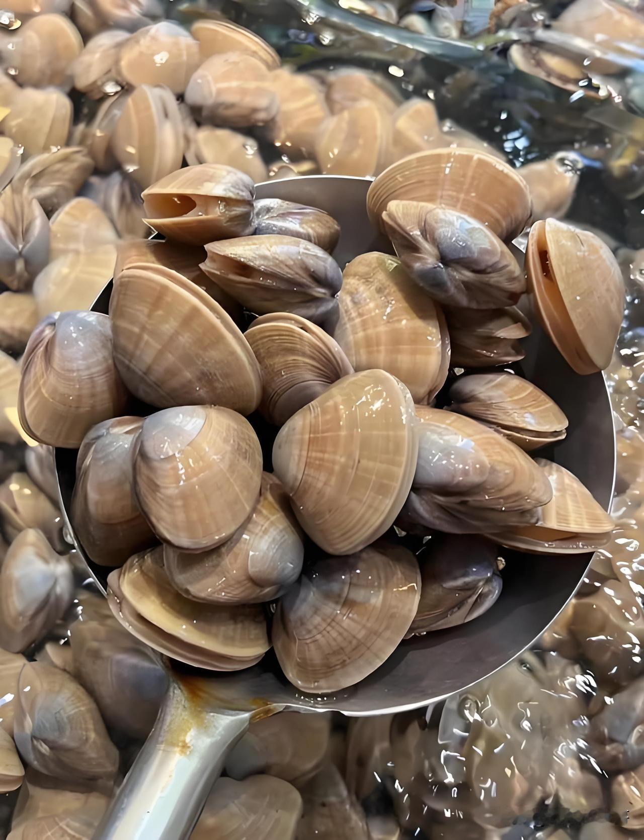 丹东市场上常见的蚬子有三种，分别是黄蚬子，白蚬子和花蚬子。很多外地朋友不知道该如