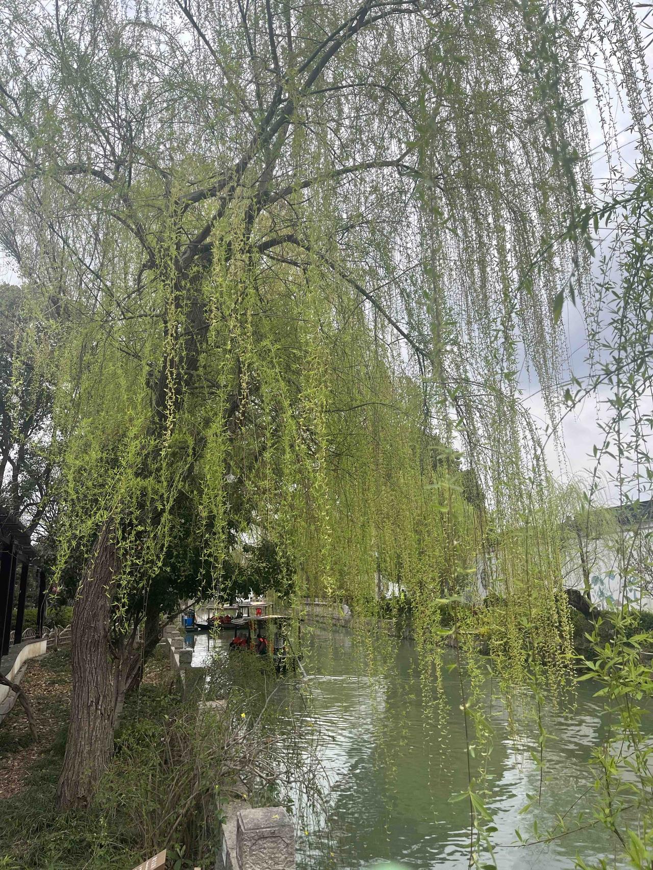今天市场如期大跌，初步预计周三将一个重要的节点，今天上午低开反拉进去的朋友暂时只
