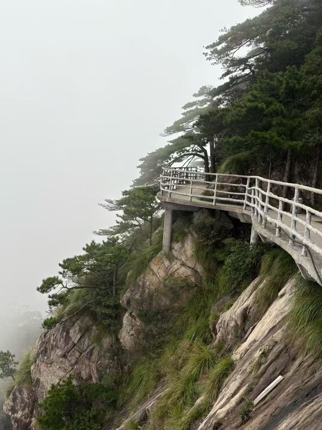 早安  日行一善 晨曦微亮，阳光上线！不管晴雨，记得给自己带上那份专属的光。让笑