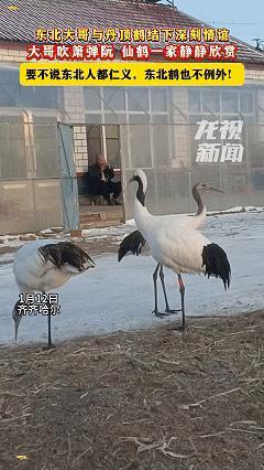 解释不清了！齐齐哈尔，男子喜欢在家演奏乐器，可吹着吹着就听见外面有动静，把门打开