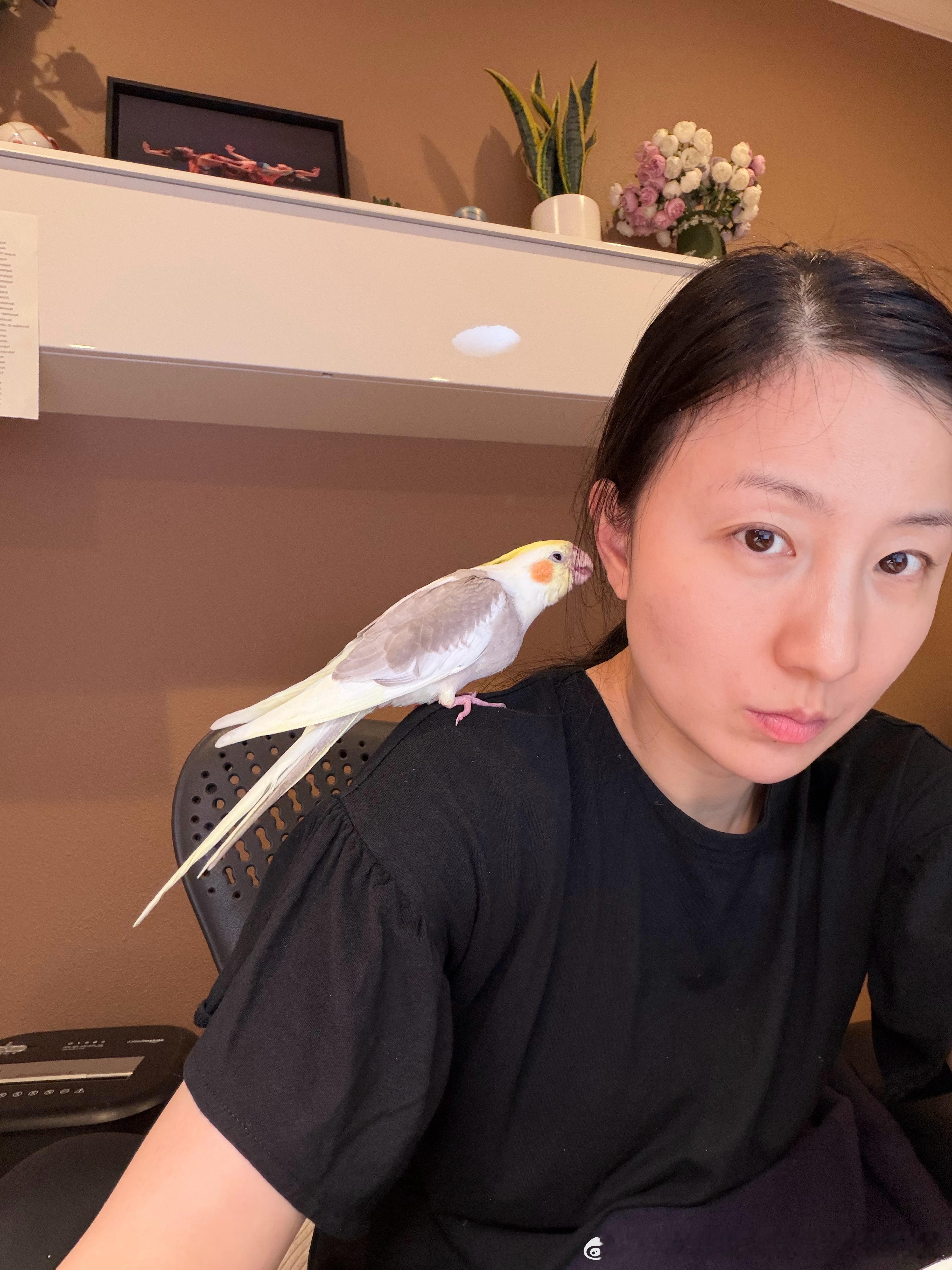 小鸟正面好搞笑啊这货现在头发和尾巴都好长啊 ​​​