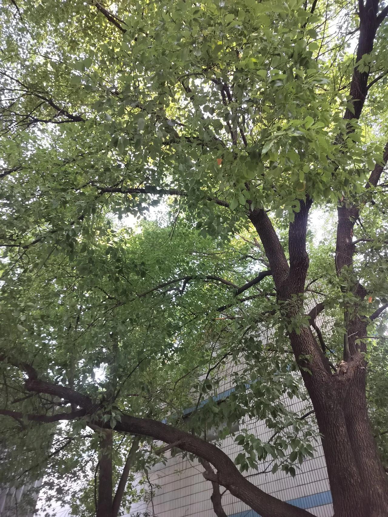 和儿媳分开住了，心情竟然无比轻松。起初儿子和老公不答应分开住，说辛苦一辈子，住在