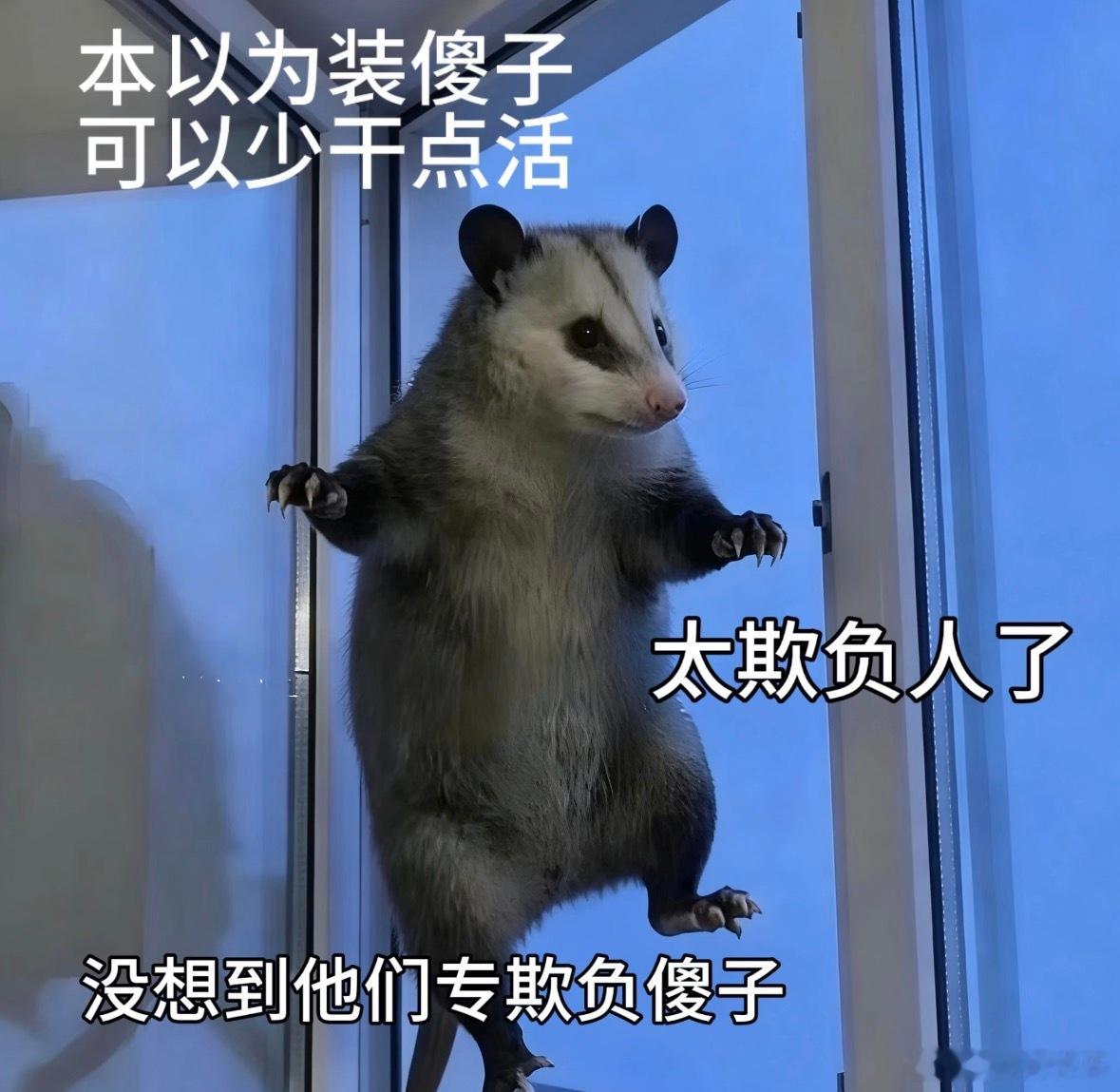 今天第一次打开大眼，工作什么的去鼠呀