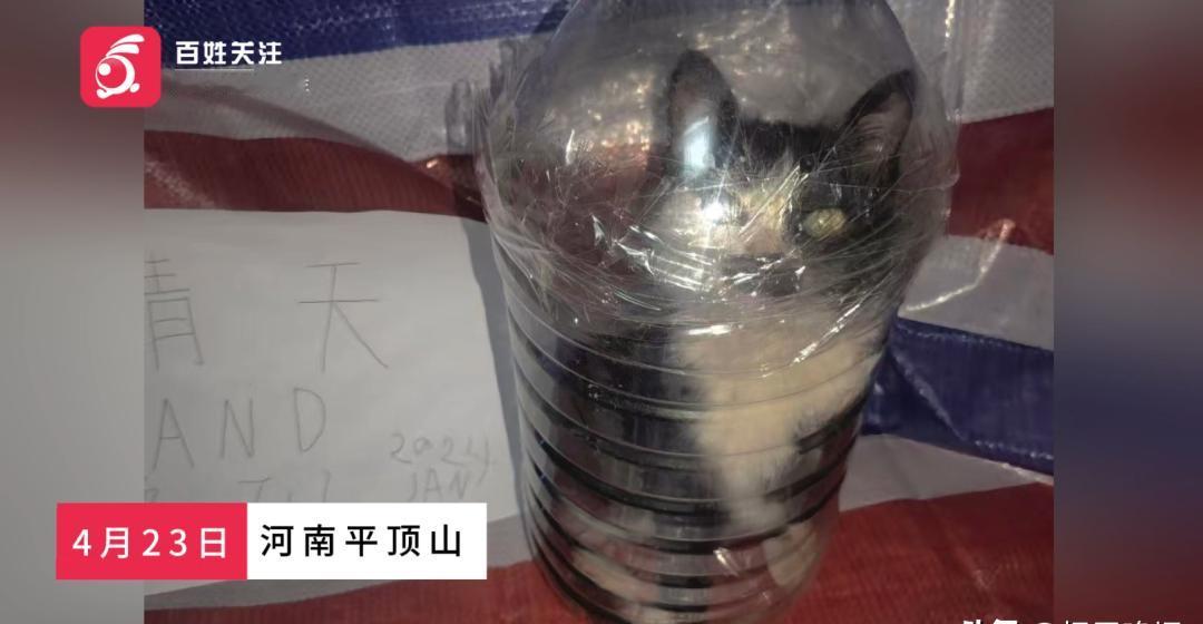 谁能想到，平时看似彬彬有礼的邻居，每到深夜把电视音量开到最大，不是为了熬夜看剧，