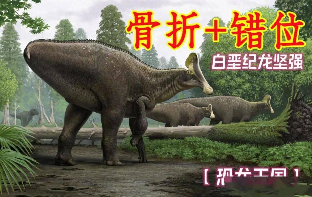 【恐龙王国】坚强求生的断臂恐龙！
      恐龙也会受伤，甚至遭遇足以致残的重