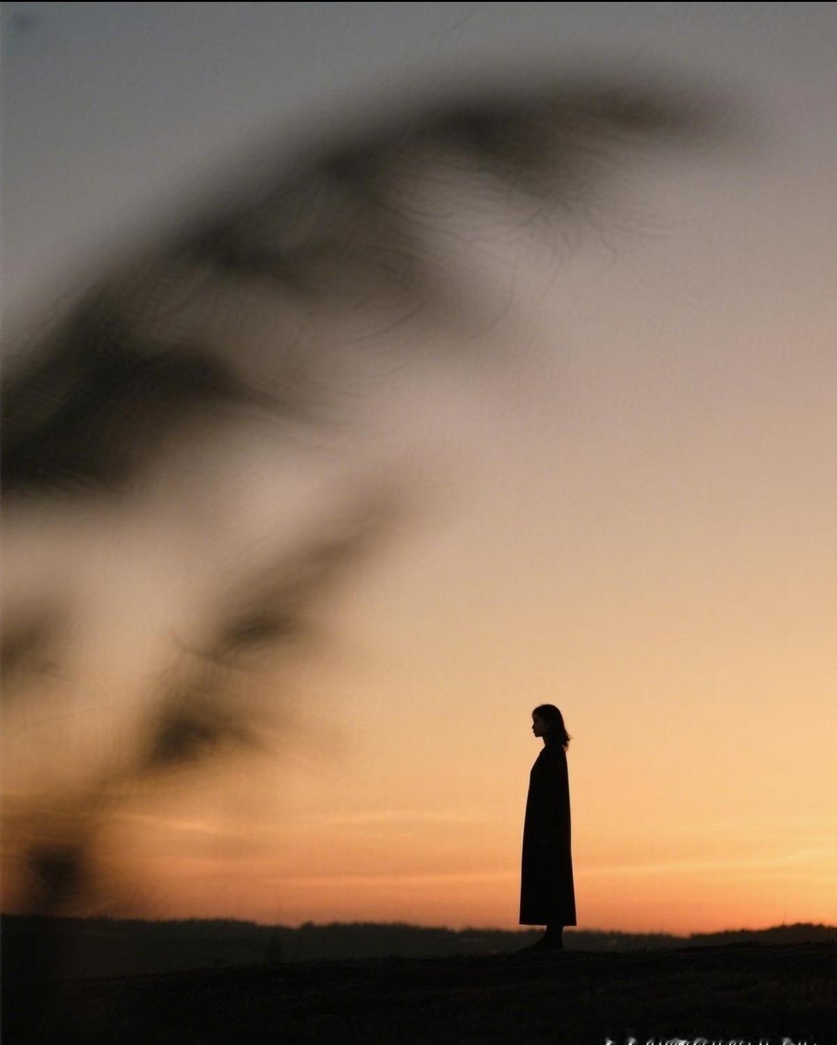 亲戚借钱不还，承诺从不兑现。
真到了难处，谁都不愿搭把手。
靠山山倒，靠人人跑，