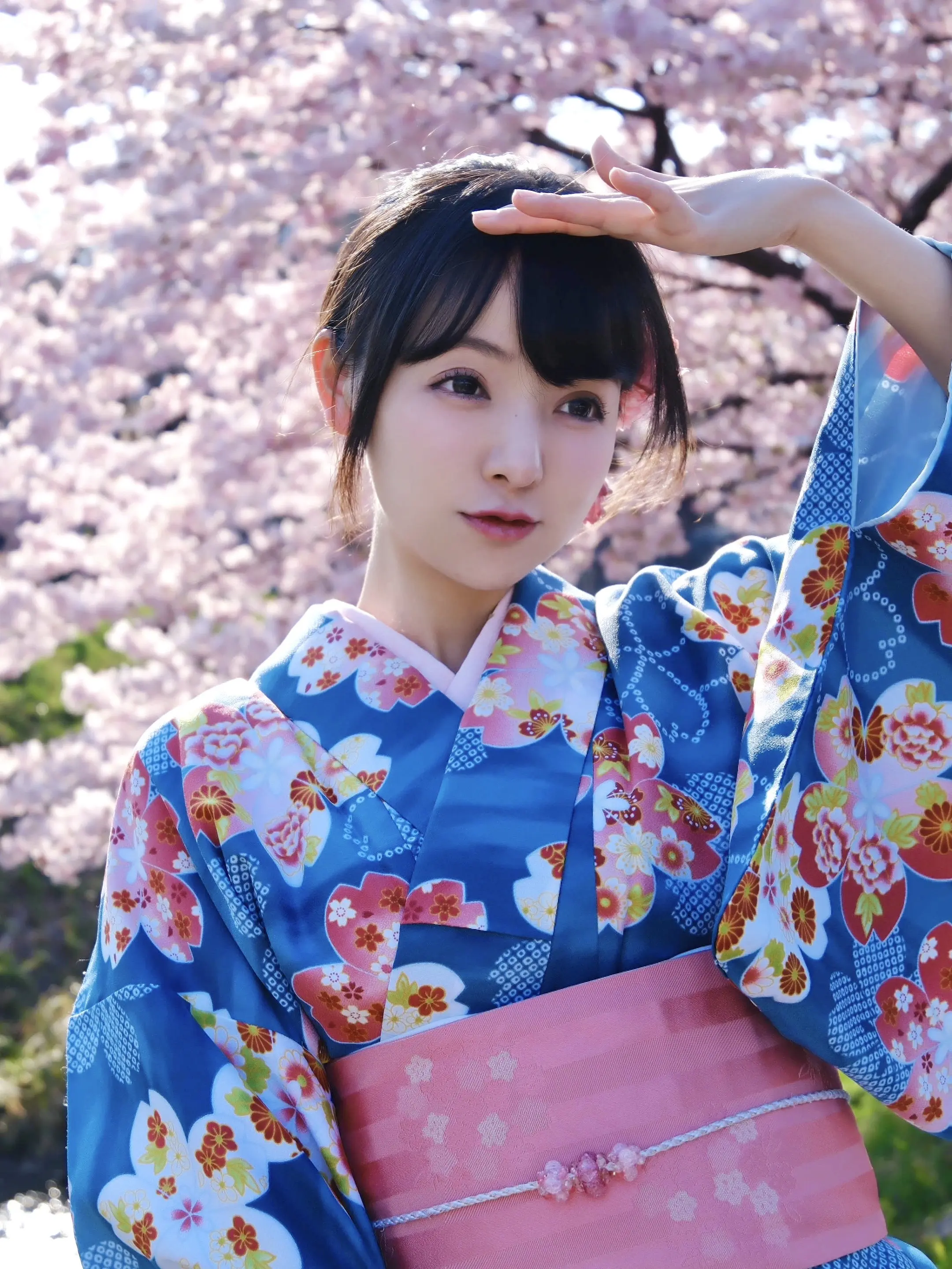 樱花季。