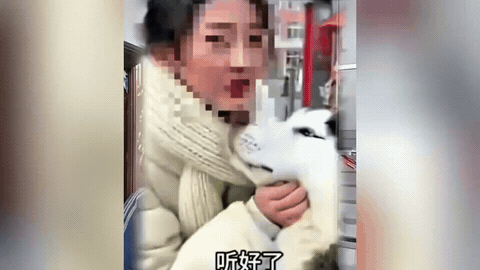 见过护犊子的，没见过护“狗犊子”护到翻车的！大姐硬气说规矩自己定，结果被自家狗儿