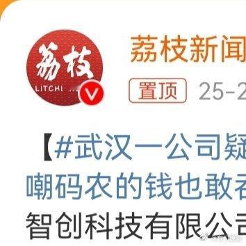 公司疑因欠款被嘲码农的钱也敢吞  武汉一公司疑因欠款官网被黑  这事儿也太戏剧性