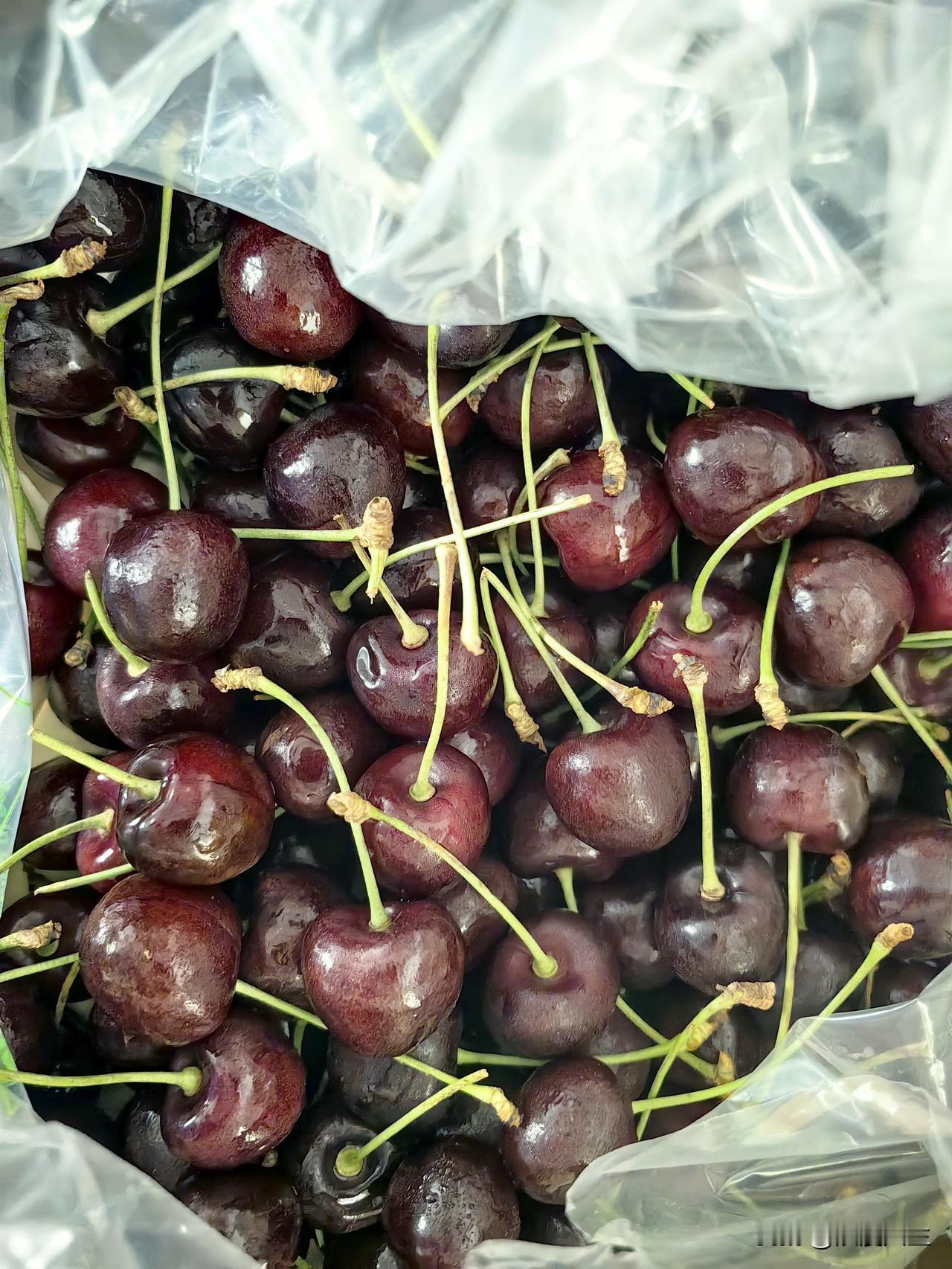 都说听人劝，吃饱饭，我是明知山有虎，偏向虎山行，150元买了一件车厘子，悔呀，真