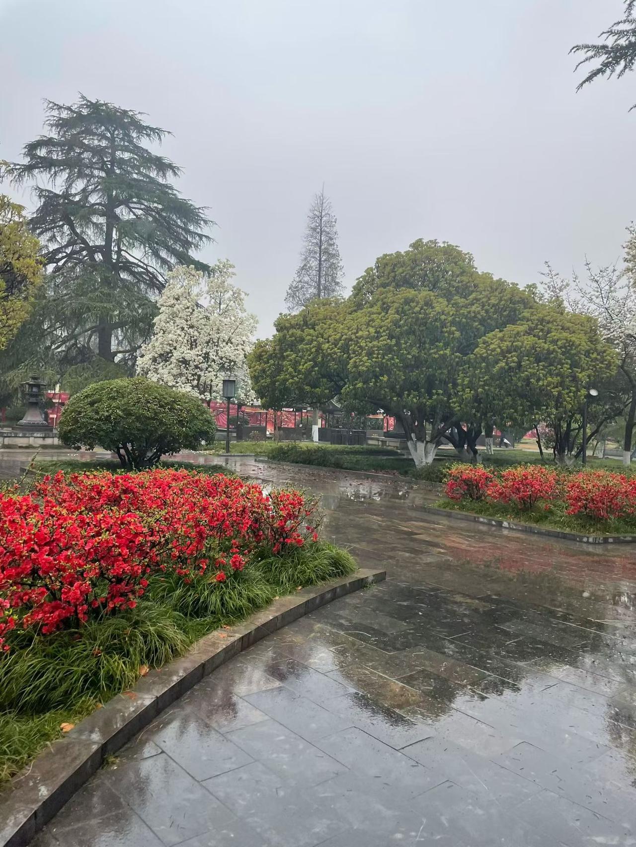 怕堵下水道就禁带厕纸？这所小学忘记了以人为本，眼里只有下水道，没有学生！
重庆某