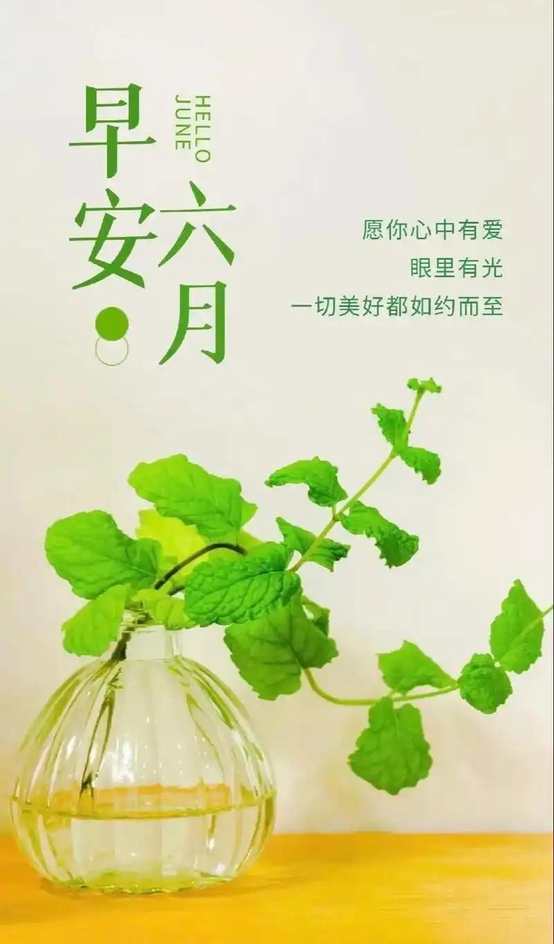五月再见，六月你好。荷花初绽，恰是最美时节。愿你的每一份努力，都如这荷花般，绽放